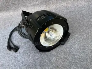 Stage Blinders