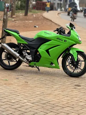 Kawasaki Ninja 300 2013 Green
