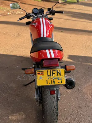 Honda VT 2005 Red