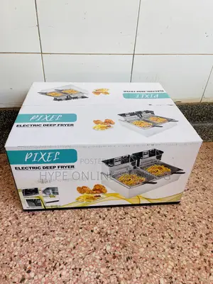 Temperature Control Brandnew Double Electric Deep Fryer