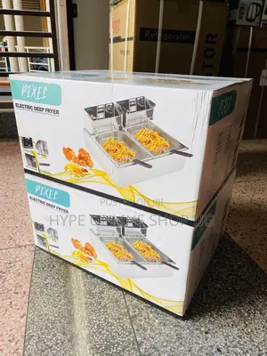 Durable Stainless Steel Double Electric Deep Fryer