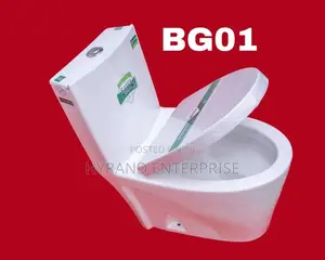 Sawa Toilets(Inbuilt)