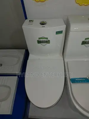 Sawa Toilets(Inbuilt)