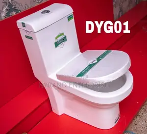 Sawa Toilets(Inbuilt)