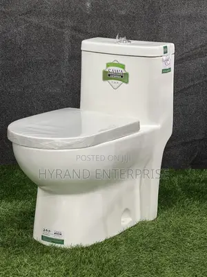 Sawa Toilets(Inbuilt)