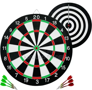 Professional Dart Board