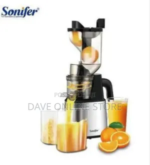 Raf Efficient Slow Juicer/Masticating Juicer