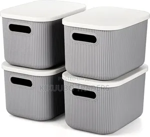 Plastic Storage Bins With Lids(1pc)