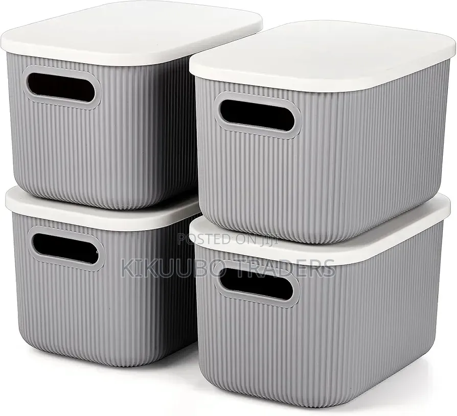 Plastic Storage Bins With Lids(1pc)