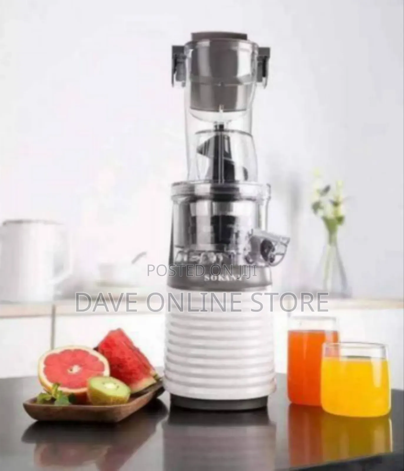 Sokany Masticating Cold Press Juicer
