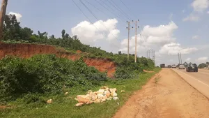 12 Acre Commercial Land in Mattuga for Sale