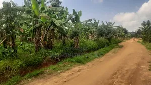 8 Acres in Kakerenge for Sale