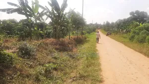 15 Acres for Sale in Bombo