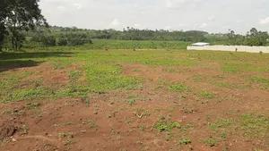 6 Acres in Kigogwa for Sale