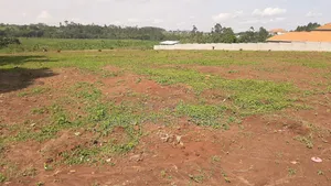6 Acres in Kigogwa for Sale