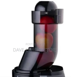 Professional Slow Masticating Juicer for Fruits and Vegetables