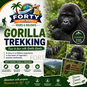 Gorilla Trekking