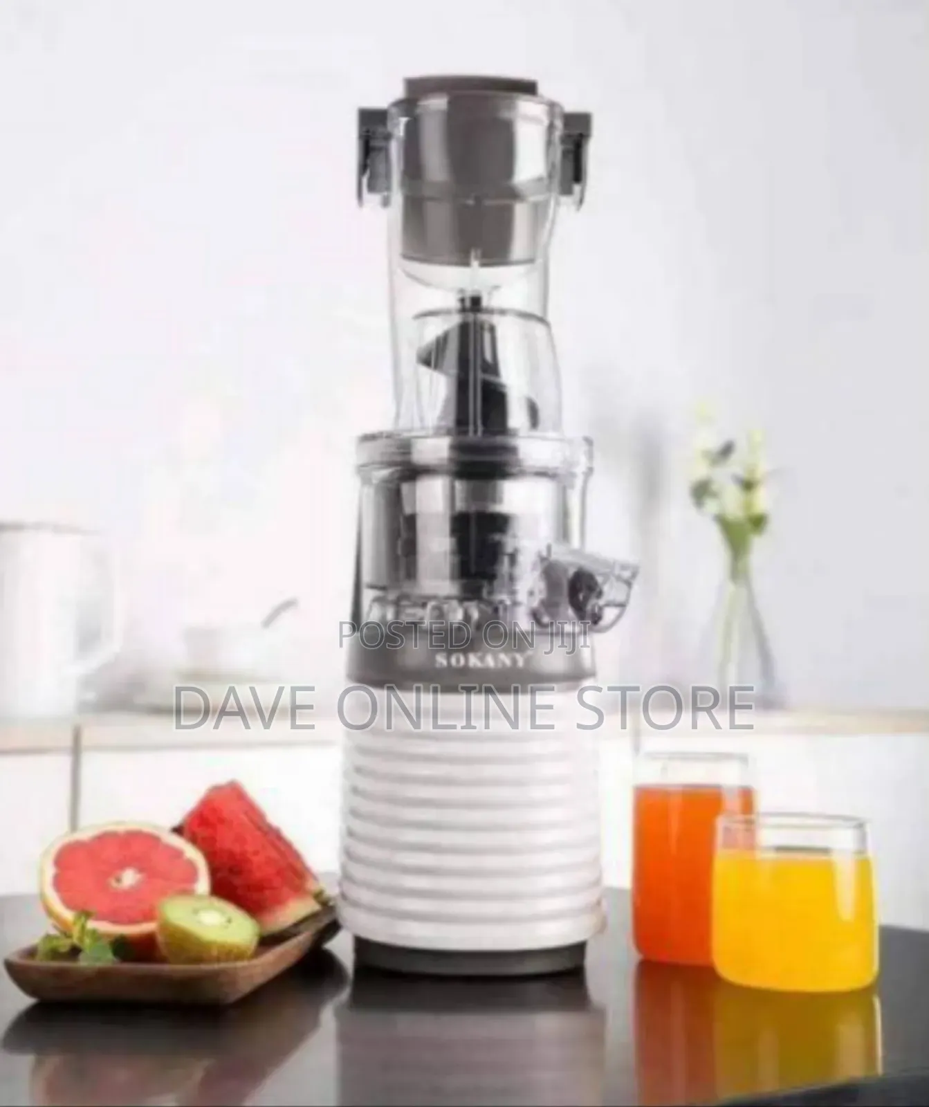 Raf Professional Cold Press Masticating Juicer Extractor