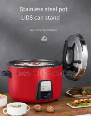 Compact Electric Rice Cooker
