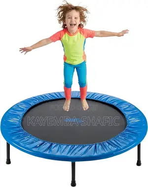 36-inch Home Fitness Trampoline / Rebounder (New In Box)