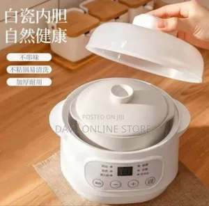 Compact Versatile Digital Food Steamer