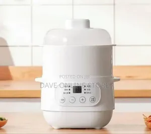 Compact Versatile Digital Food Steamer