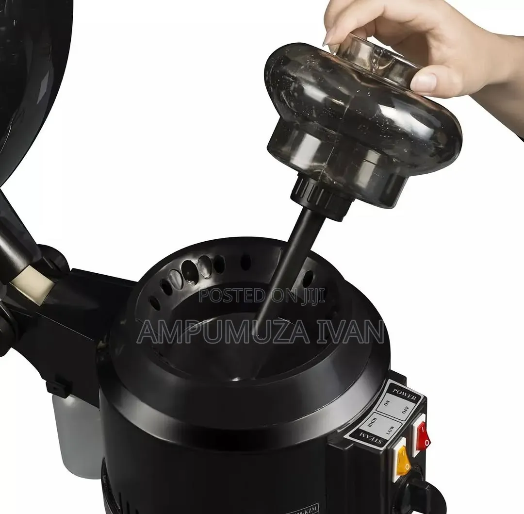 Hair Stand Steamer 480000