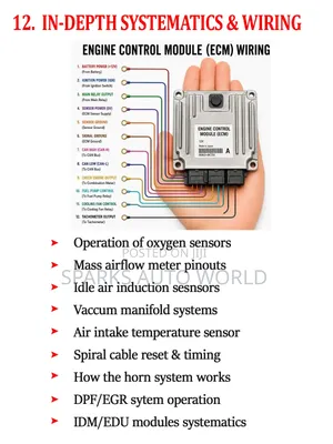 Vehicle Wiring (Module 12 of 15)