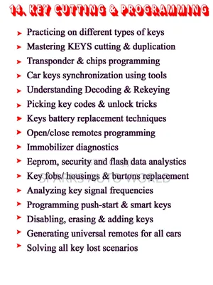 Car Keys Programming (Module 14 of 15)