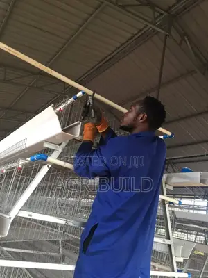 Poultry Cages | Automatic Feed Systems Installation Services