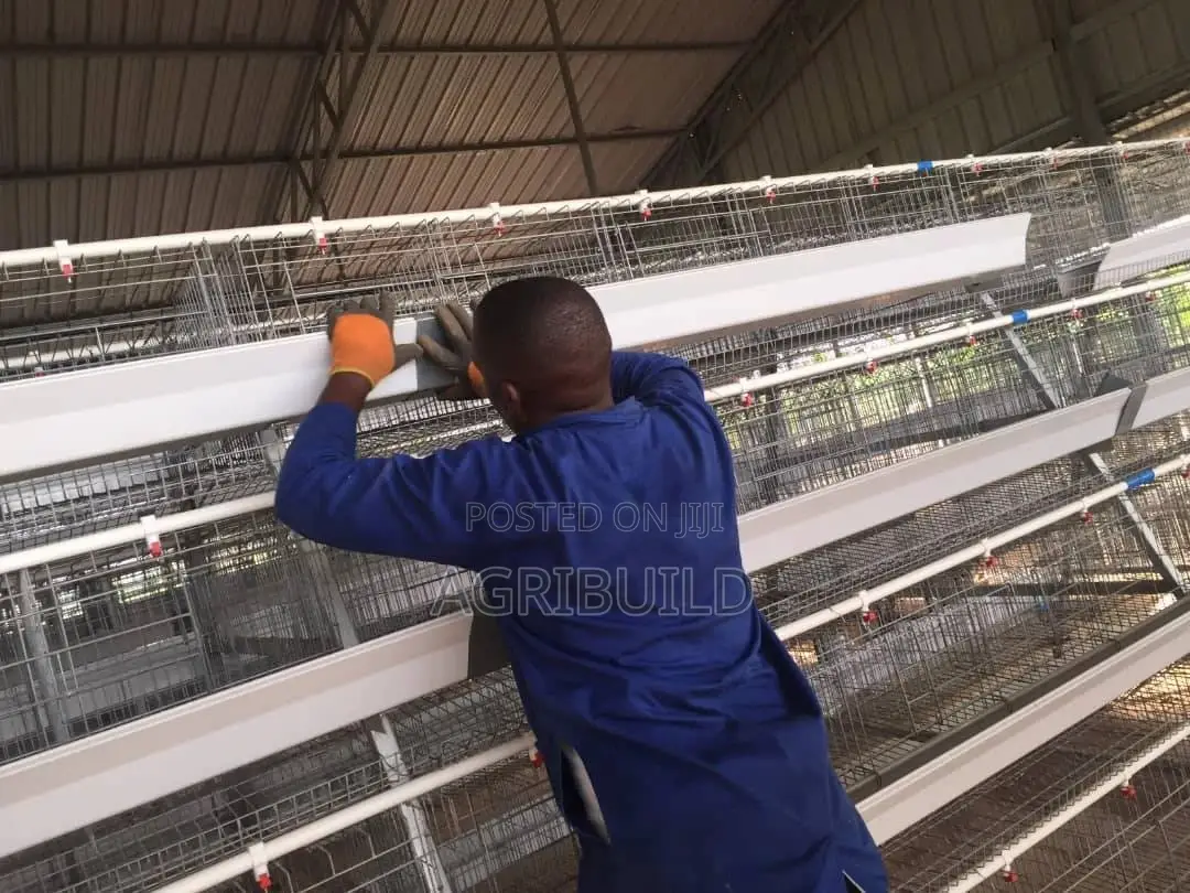 Poultry Cages | Automatic Feed Systems Installation Services