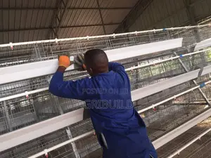 Poultry Cages | Automatic Feed Systems Installation Services