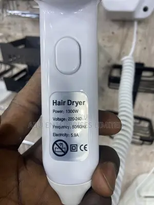 Bathroom Hair Dryer