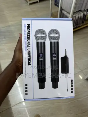 Professional Universal Dual Wireless Microphone System