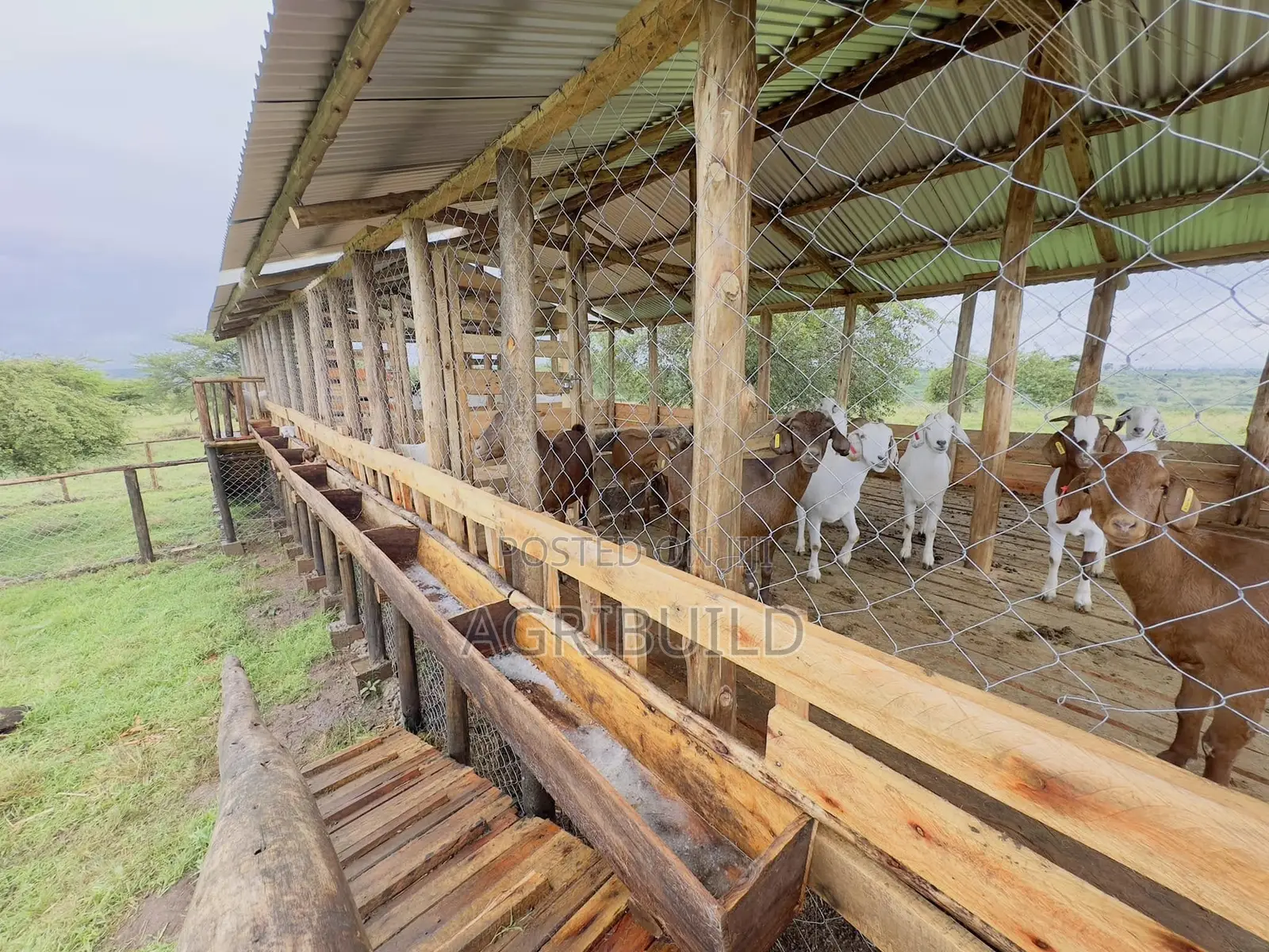 Goat Farm Planners | Designers | Constructors