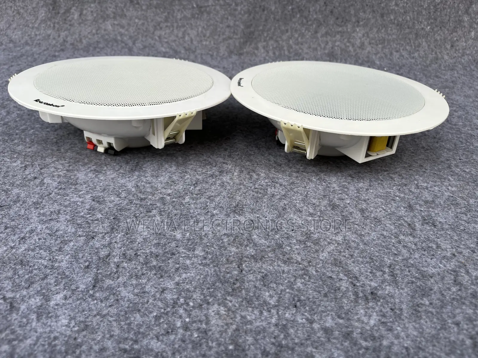 Lecxo Ceiling Speaker