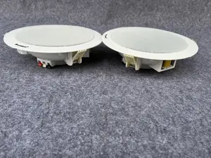 Lecxo Ceiling Speaker