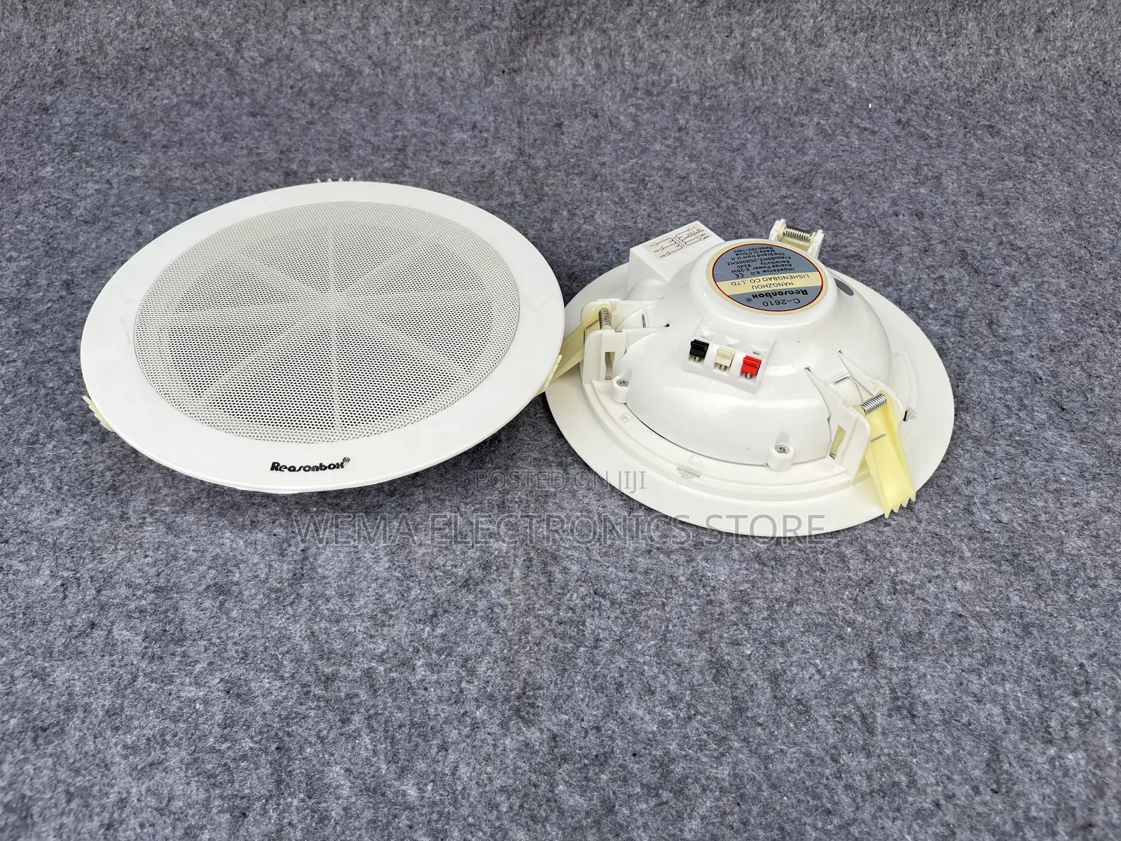 Lecxo Ceiling Speaker
