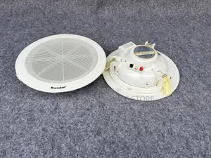 Lecxo Ceiling Speaker
