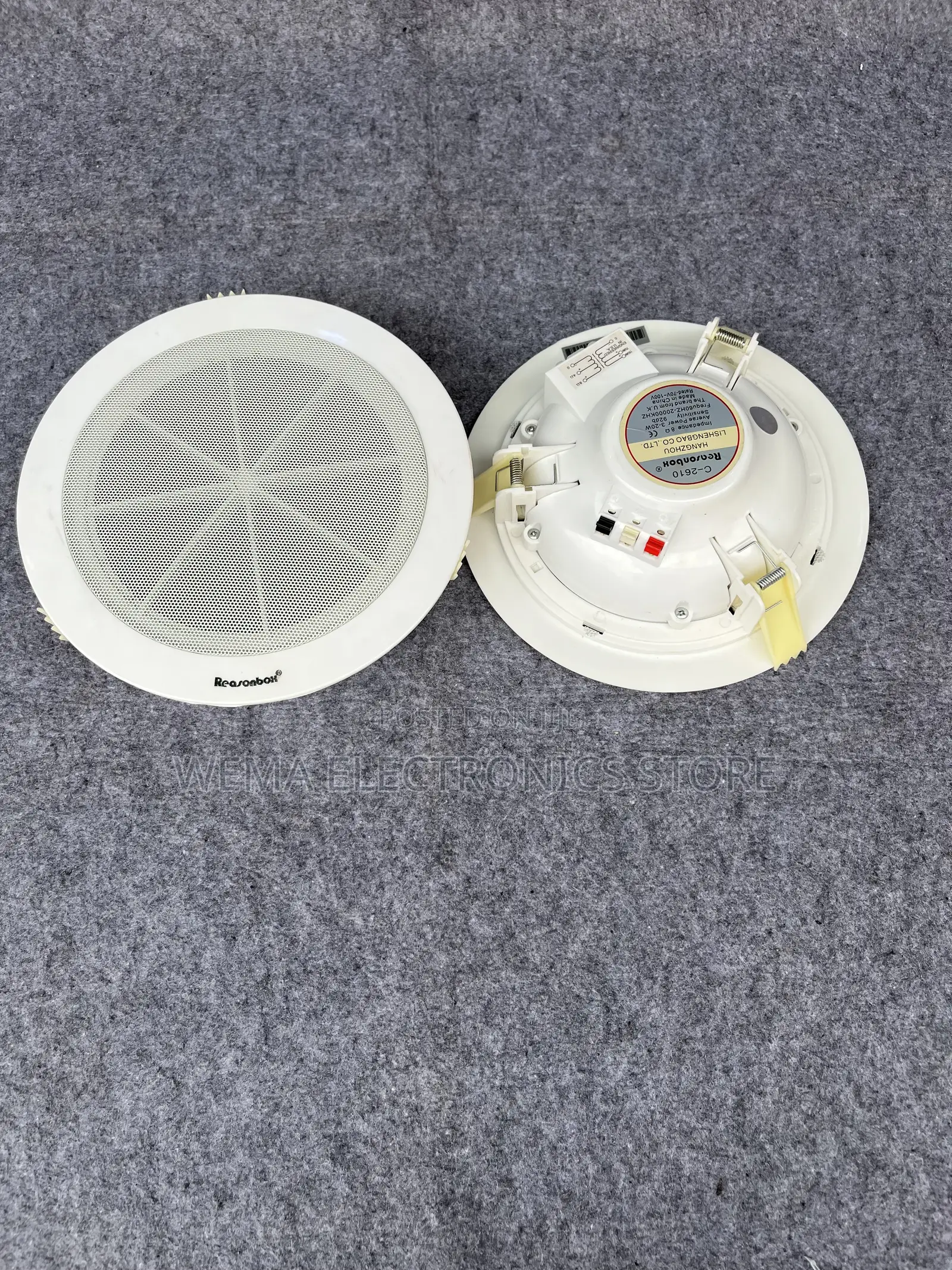 Lecxo Ceiling Speaker