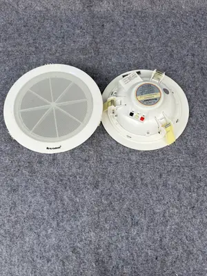 Lecxo Ceiling Speaker