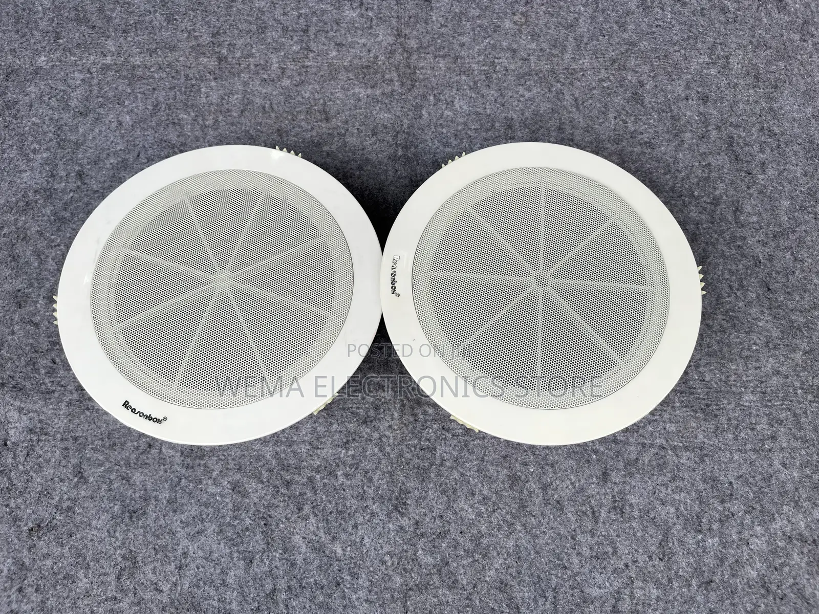 Lecxo Ceiling Speaker