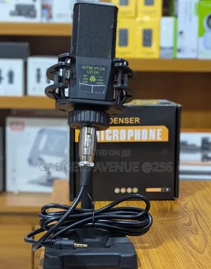 Professional Studio Diaphragm Condenser Microphone