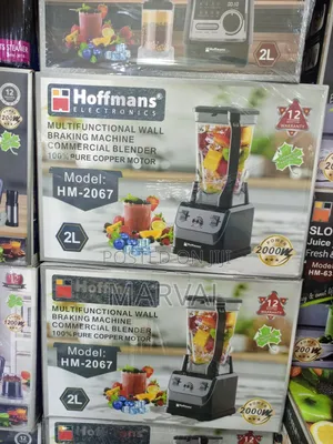 Hoffmans Hm-2067 Multifunctional Commercial Blender With a 2000w Motor