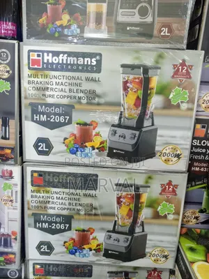 Hoffmans Hm-2067 Multifunctional Commercial Blender With a 2000w Motor