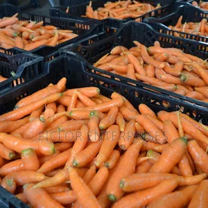 Carrot Supplier and Wholesaler