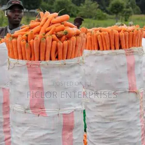 Carrot Supplier and Wholesaler