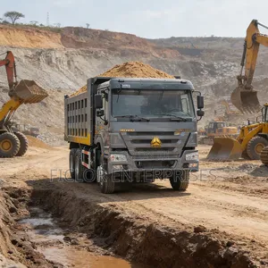 Sinotruck Sand Supply and Fast Delivery