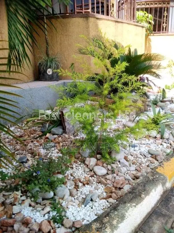 Compound Designing and Landscaping