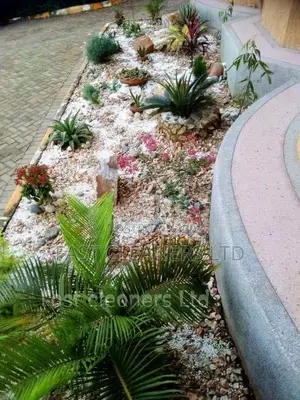 Compound Designing and Landscaping